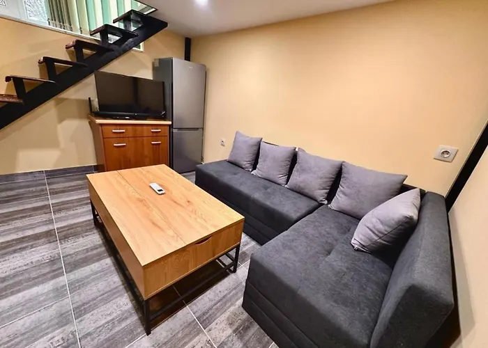 Fani * スタラ・ザゴラ